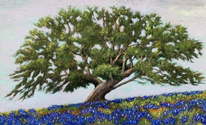 On Bluebonnet Hill by artist Jesse Holster